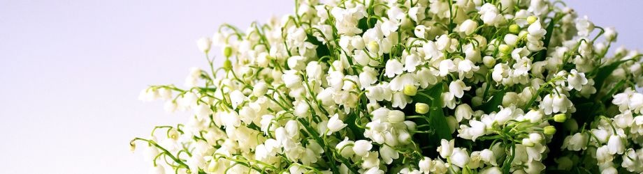 Bouquet du muguet pour le premier mai