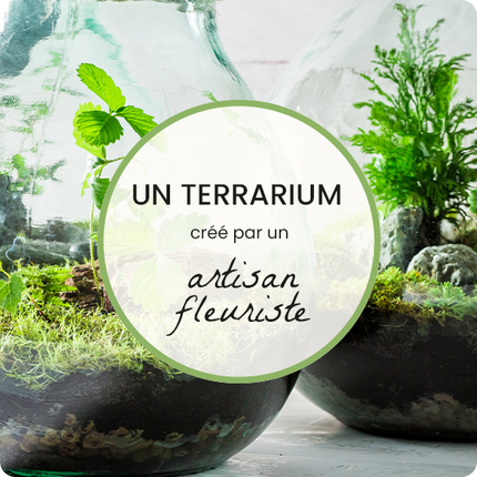 Offrez un joli terrarium au style naturel crée et livré par un artisan fleuriste local.